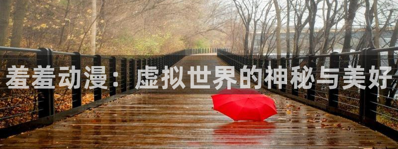 age动漫app老版本