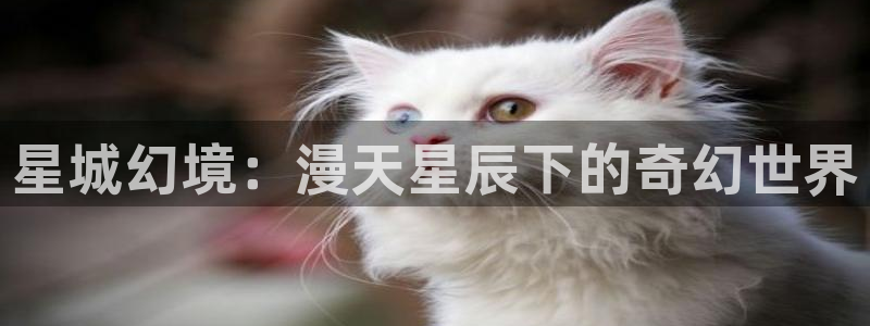 age动漫官方：星城幻境：漫天星辰下的奇幻世界