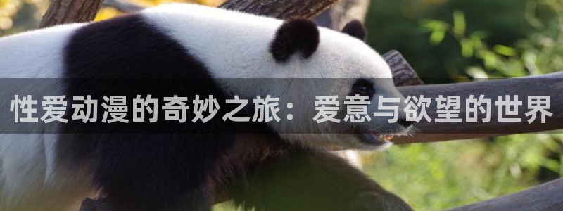 lovestage动漫：性爱动漫的奇妙之旅：爱意与欲望的世界